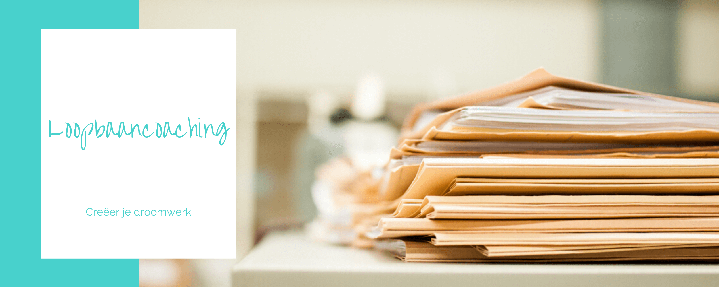 Headers 2500 x 1000 bwoltmancoaching loopbaancoaching Birgitte Woltman, Loopbaancoaching, coaching creëer je droomwerk